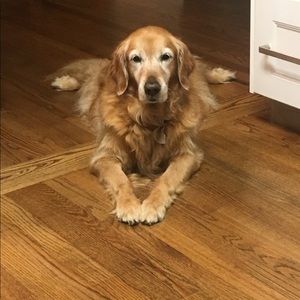 Meet your Posher, Barbara